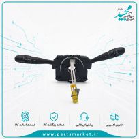 COM2000 پژو 207 فرانسوی، دلفی