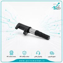 کويل جرقه قلمی موتور زیمنسی BERU , L90